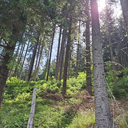 Naturpark Bauernhof Sperl Mariahof Eksteriør bilde