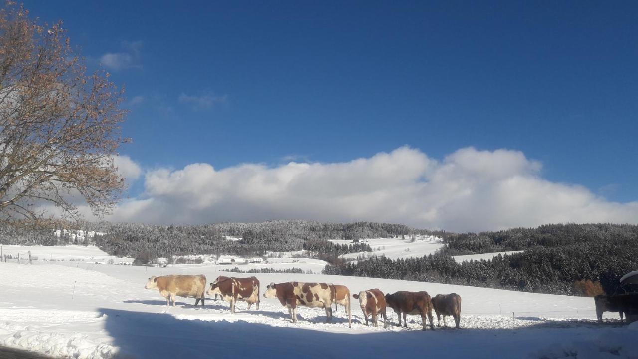 Naturpark Bauernhof Sperl Mariahof Eksteriør bilde